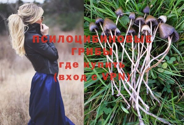 прущий лед Верхний Тагил