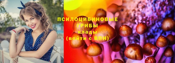 бошки Верея