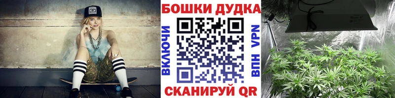МЕГА как войти  Печора  Канабис White Widow 